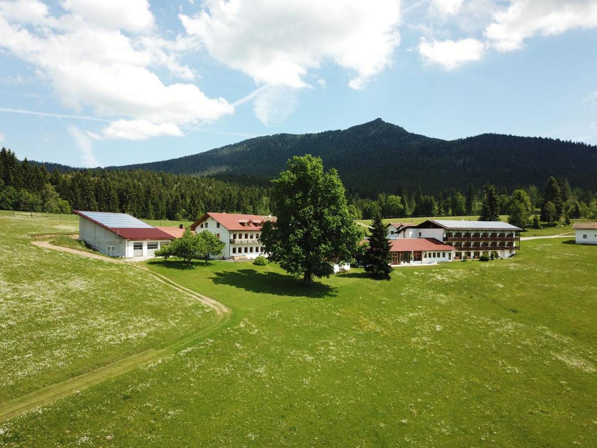 Osserhotel Lohberg Eksteriør bilde